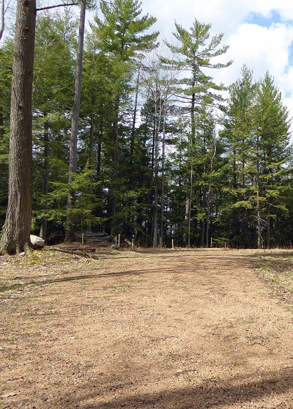 Land cleared in hemlock forest for new home construction in the Wisconsin northwoods